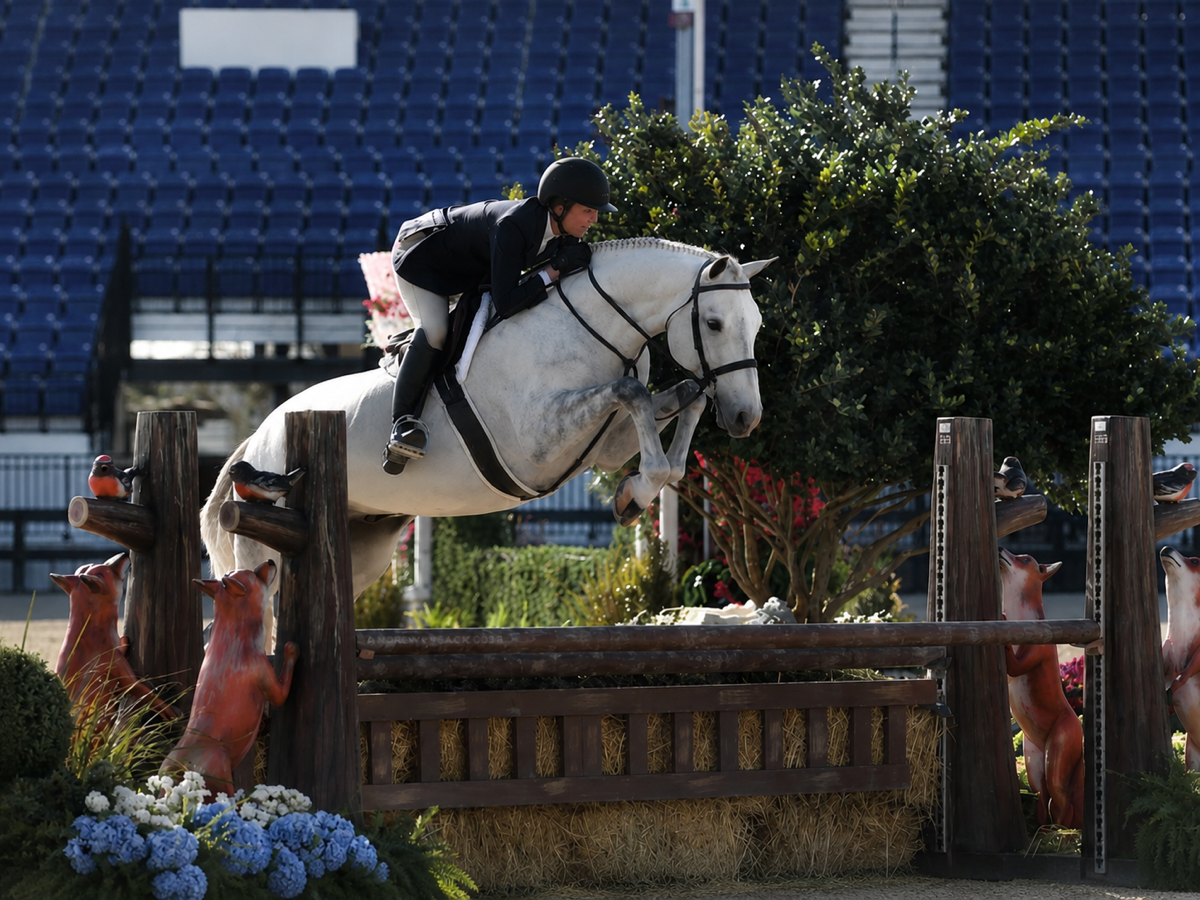 Carlson Hunters & Jumpers rider and white horse clearing a show jump