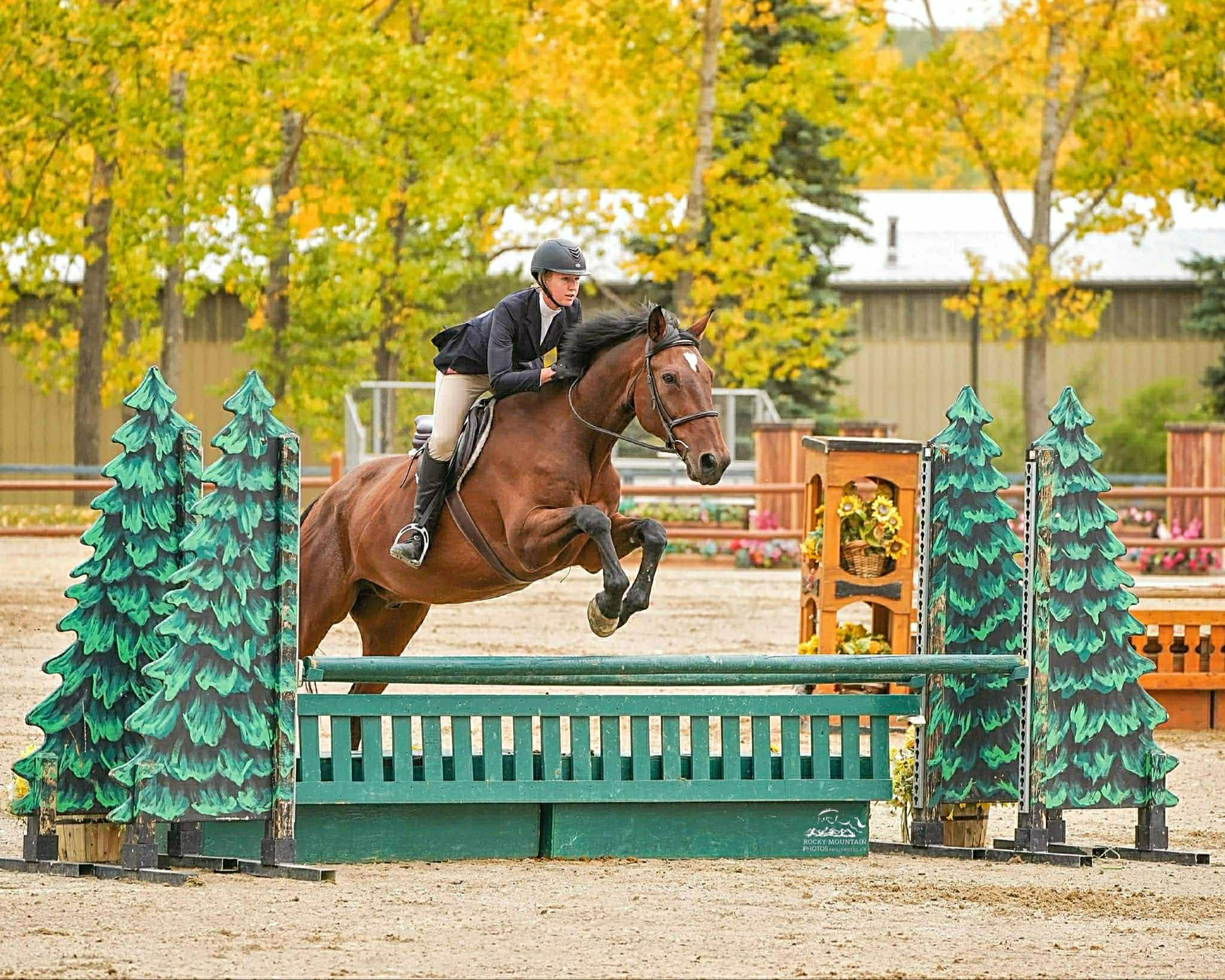 Carlson Hunters & Jumpers gallery photo 1