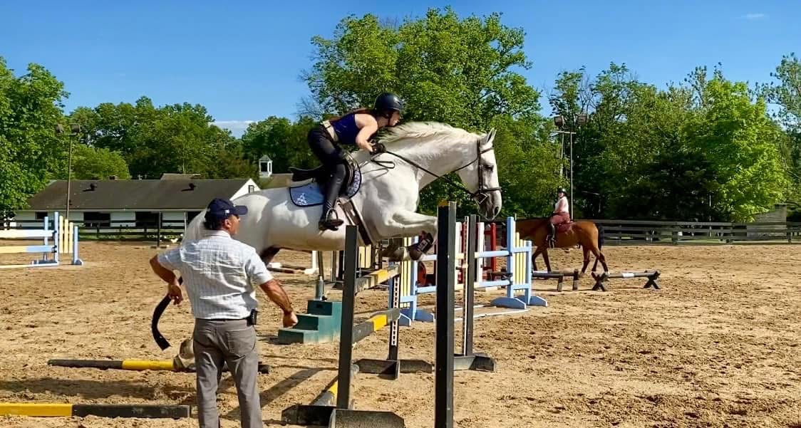 Carlson Hunters & Jumpers gallery photo 9
