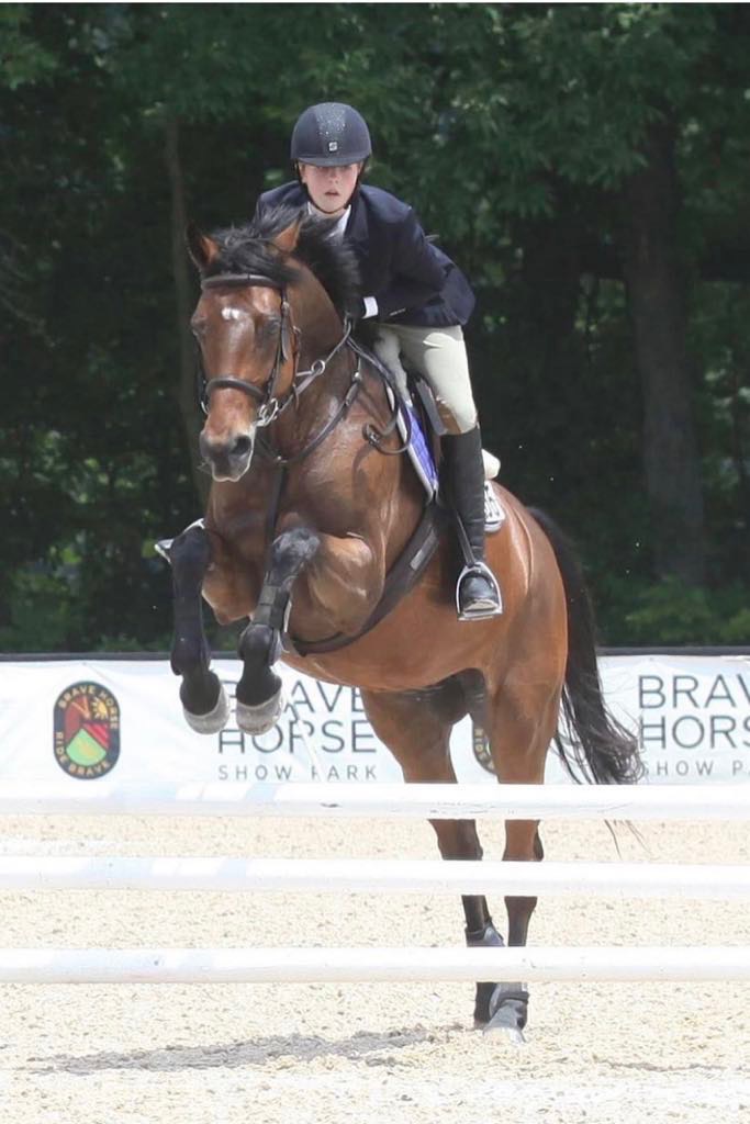 Carlson Hunters & Jumpers gallery photo 14