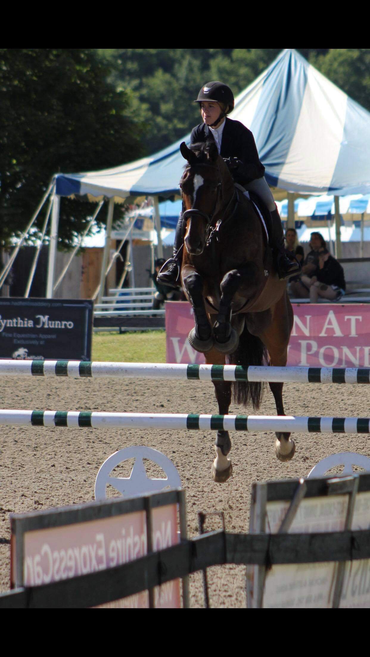Carlson Hunters & Jumpers gallery photo 15
