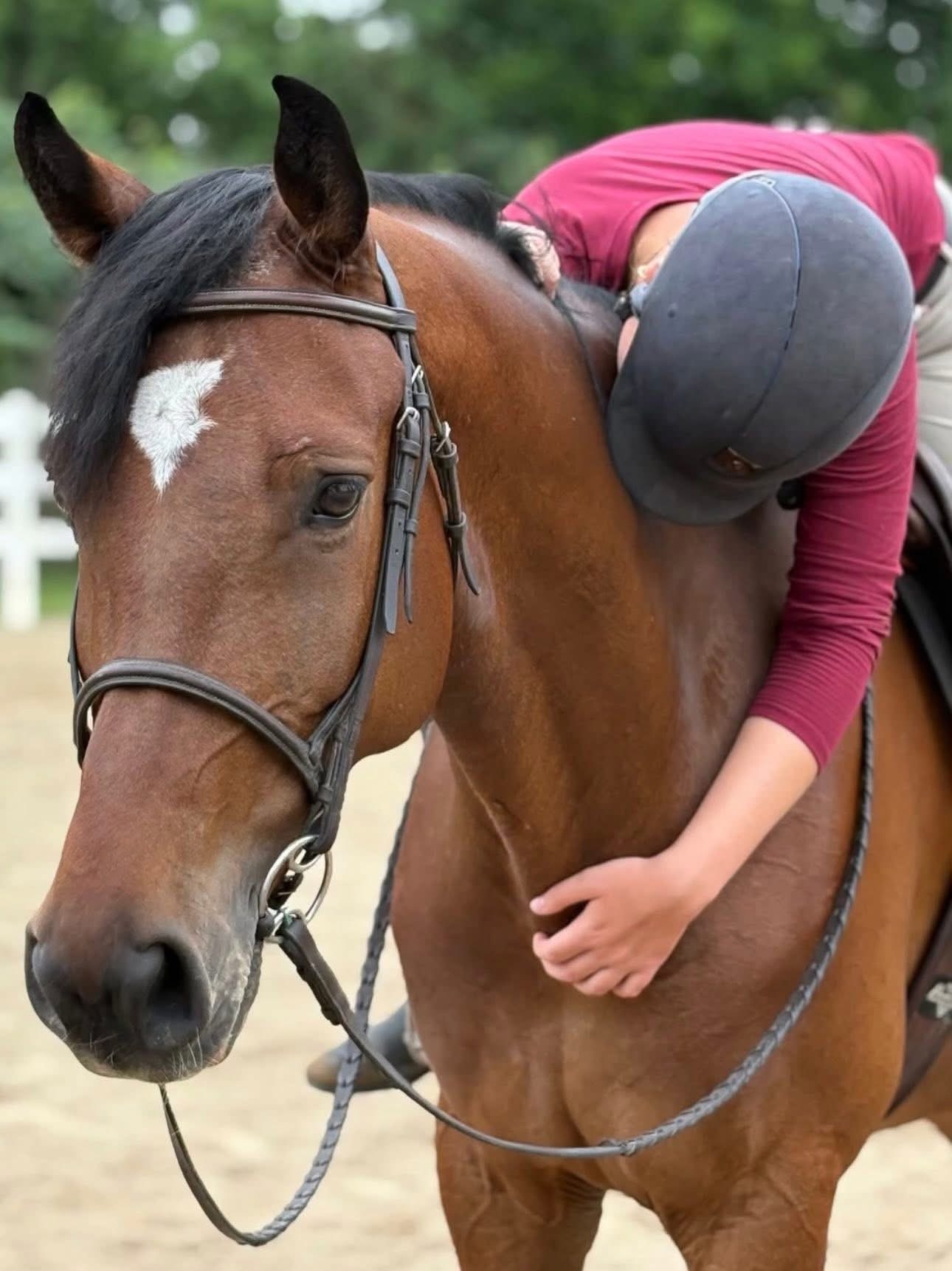 Rider hugging a brown horse